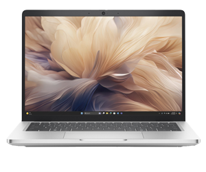 Dell Pro Plus 13/14/16